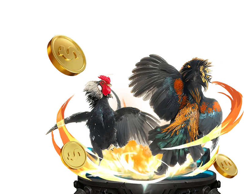 Cờ bạc có trách nhiệm Fly88