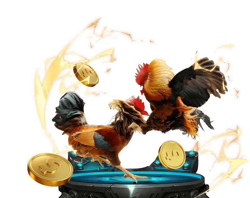 Mã hóa dữ liệu Fly88